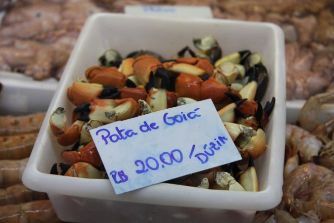 Mesmo pra quem não for às compras, a visita ao Mercado Público de Floripa já vale pela diversidade de frutos do mar regionais, inclusive os mais exóticos, como as patas de goiá. Foto: Juliana Gomes.