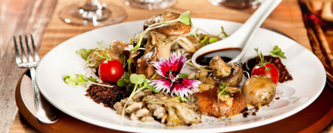 Na terra dos frutos do mar, pratos com cogumelos ganham espaço em Floripa