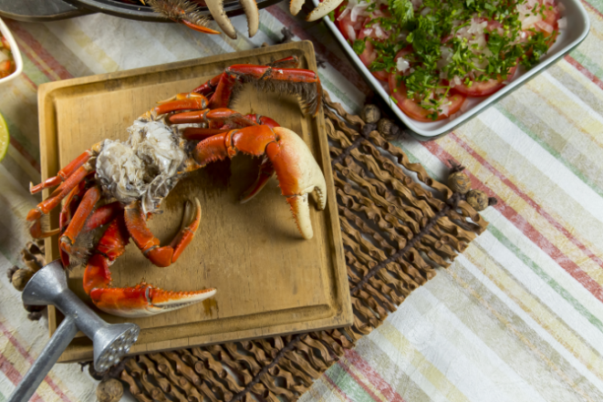 Caranguejo do Albatroz, em Curitiba.