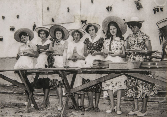 As filhas de imigrantes participando da primeira edição da Festa da Uva, quando ainda era uma quermesse no pátio da Paróquia. Foto: Letícia Akemi/Gazeta do Povo