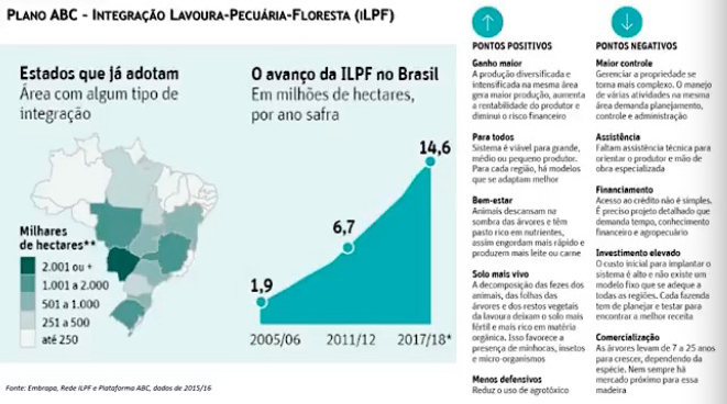 Foto: reprodução/transmissão FRU.TO.