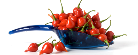 Quem come mais pimenta? Restaurante promove competição com três categorias