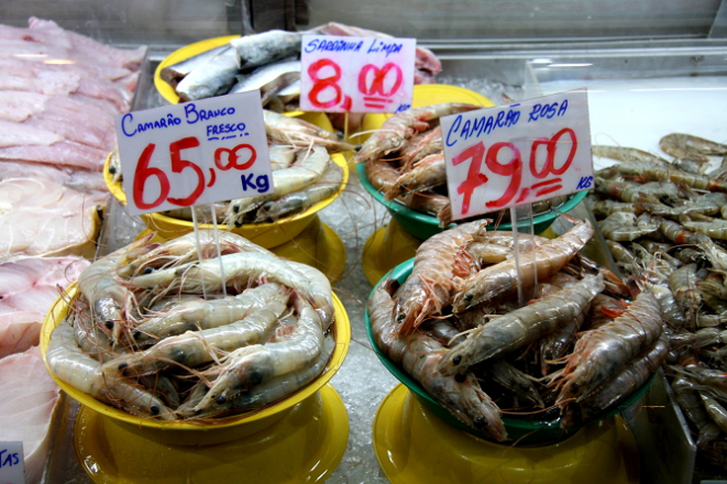 Foto: Juliana Gomes.