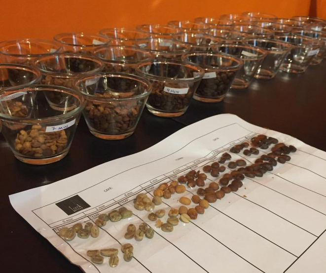 Quem participar do curso do Lucca vai aprender a diferenciar as variedades de cafés especiais. Foto: divulgação