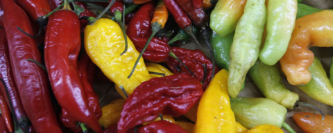 Bar curitibano promove competição do maior comedor de pimentas