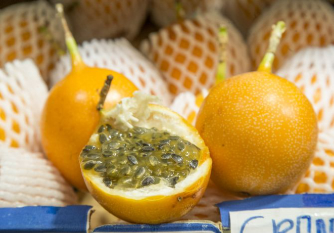 Foto: Hugo Harada/Gazeta do Povo