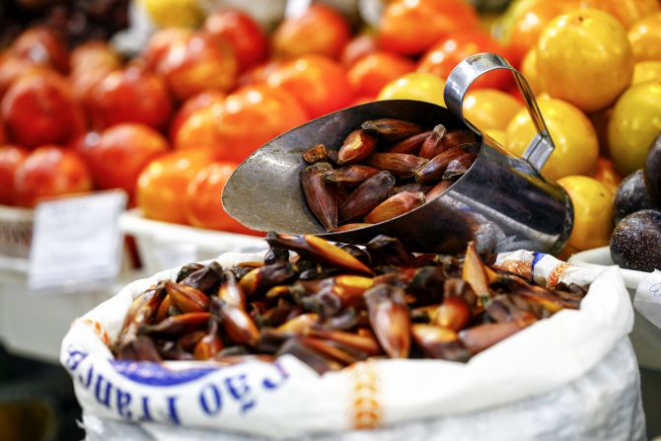 Foto: André Rodrigues/Gazeta do Povo