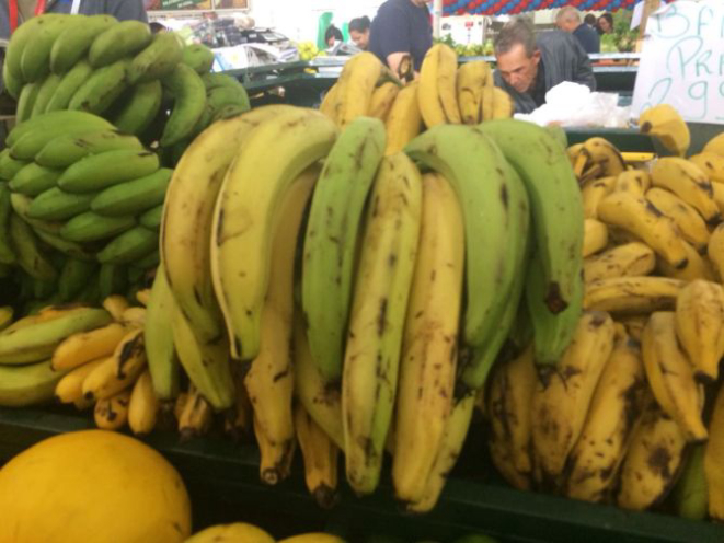 Foto: Laura Beal Bordin