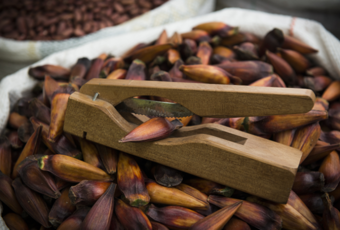 Foto: Leticia Akemi/Gazeta do Povo