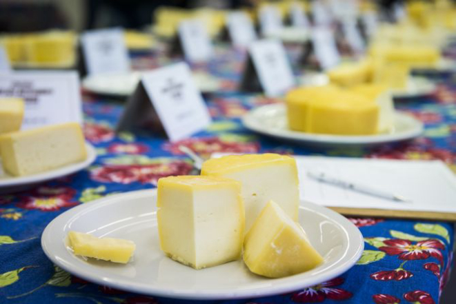 Na etapa de Curitiba foram avaliados 27 queijos produzidos em 10 cidades da RMC e duas do litoral. Foto: Letícia Akemi/Gazeta do Povo