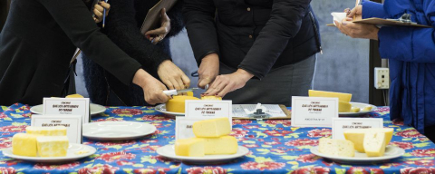 Queijo de leite cru do PR se assemelha ao minas frescal, mostra concurso estadual