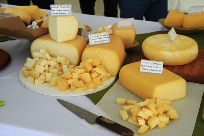 Queijo diamante de produtores diferentes. Foto: Remy Simão/Epagri