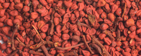 Como usar urucum para tornar os pratos mais bonitos e coloridos