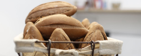 Fim de semana tem tour em padarias, festas juninas cervejeira e vegana