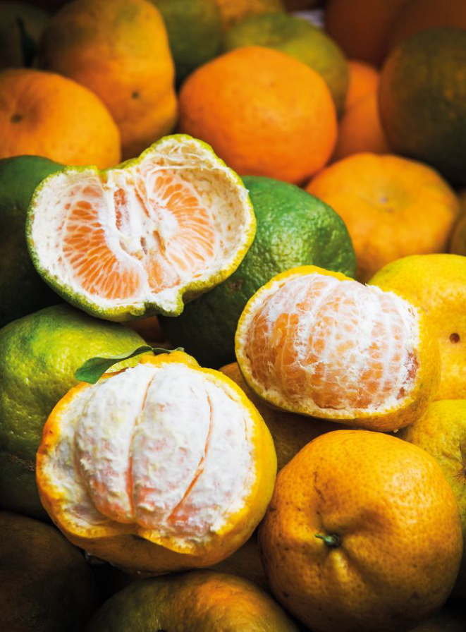 A ponkan é mais comum das tangerinas: tem a casca mais grossa e é adocicada. Foto: Letícia Akemi/Gazeta do Povo