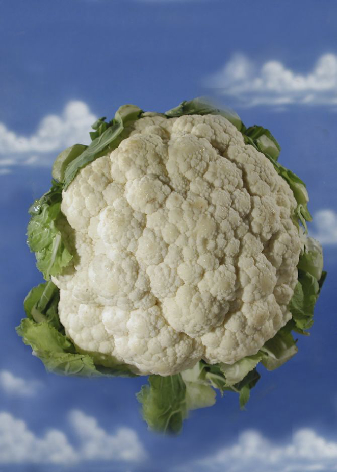 Foto: Tony Cenicola/The New York Times