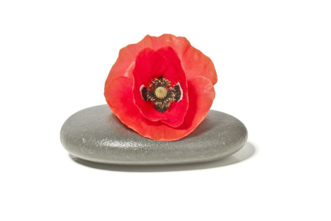 Pepple stone with red poppy flower