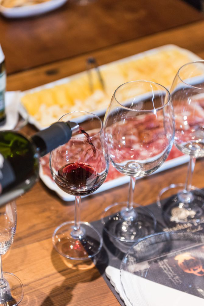 Visita e guiada e curso de vinhos n Família Fardo Vinícola. Foto: Brasílio Wille/ Família Fardo Vinícola