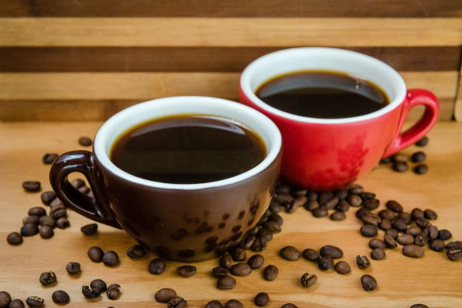 Foto: Priscilla Fiedler/ Divulgação