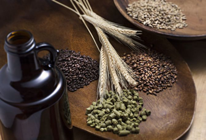 Uso de lúpulo faz a diferença na hora de fabricar as IPAs. Foto: Alexandre Mazzo/Gazeta do Povo