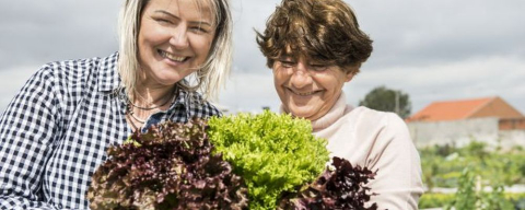 Hortas da periferia transformam dia a dia de cozinhas premiadas em Curitiba