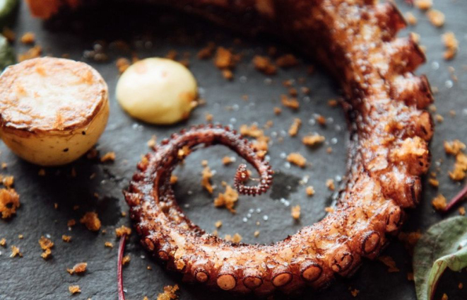 Entre os pratos preparados por Celso e Gabriela está o polvo com bottarga. Foto: divulgação.