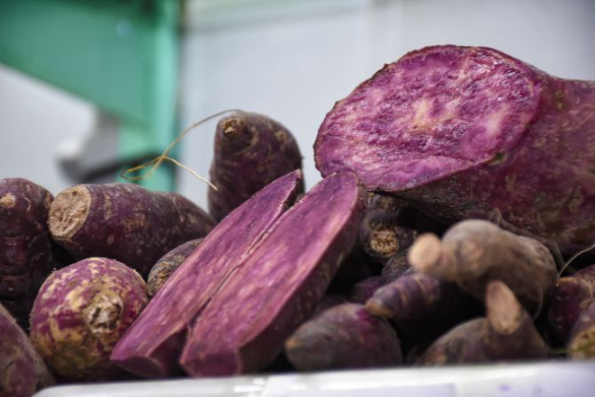 Foto: Nay Klym/Gazeta do Povo