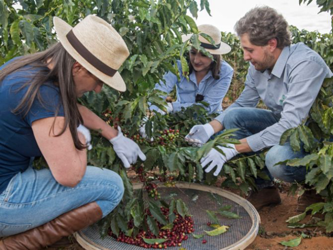 Todos os anos, Georgia e seu time de confiança viajam pelo país em busca dos melhores cafés. Foto: Divulgação / Lucca Cafés Especiais