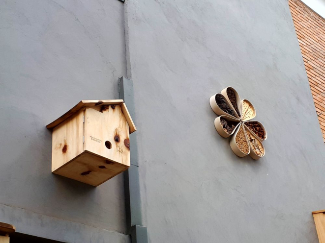 As colmeias e o 'hotel' abrigam cinco espécies de abelhas sem ferrão. Foto: Guilherme Grandi/Gazeta do Povo.