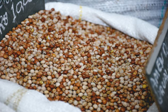 Foto: Nay Klym/Gazeta do Povo