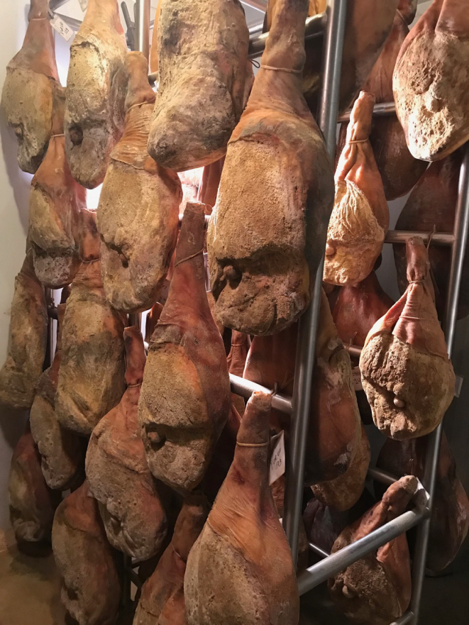 Foto: Arquivo Pessoal / Yaguara Ecológico