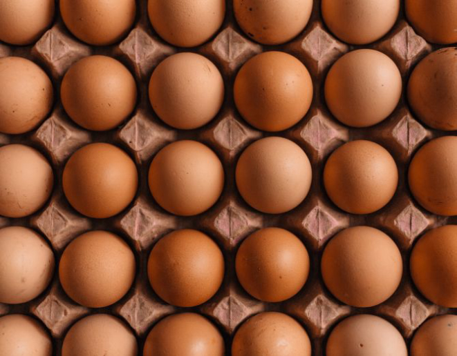 Foto: Erol Ahmed / Unsplash
