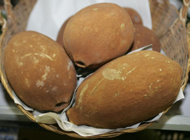 Foto: Aniele Nascimento / Gazeta do Povo