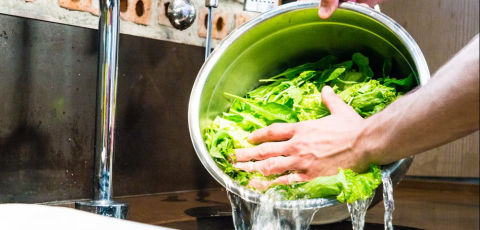 Não erre mais! Aprenda a lavar verduras da forma correta