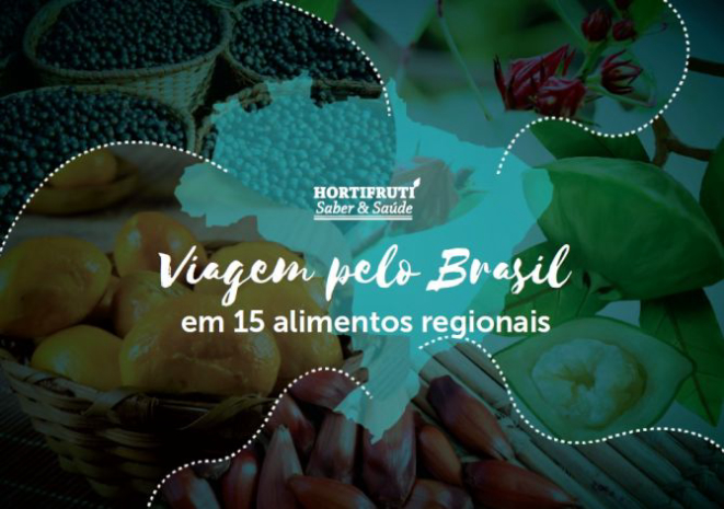 Capa do livro digital Viagem pelo Brasil em 15 ingredientes regionais. Foto: Reprodução
