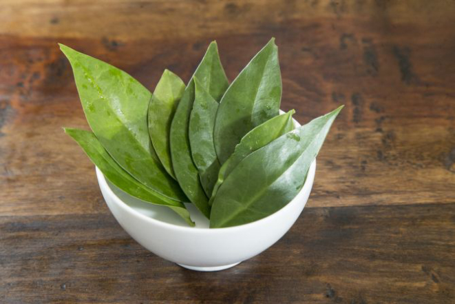 Foto: Hugo Harada / Gazeta do Povo