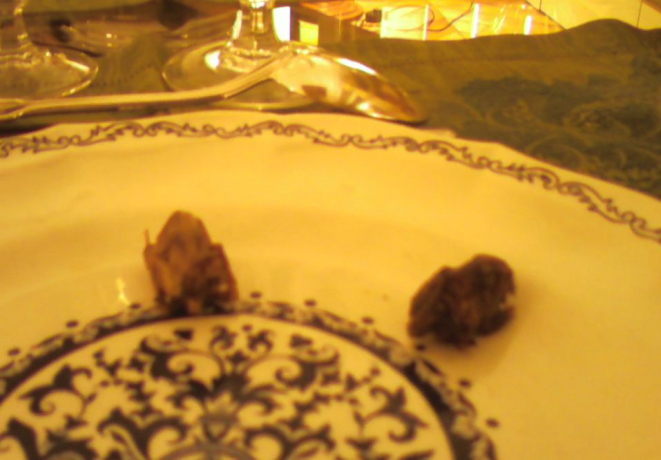 O prato com ortolan é tão secreto que quase não há registros dele na internet. Foto: Antonia Hayes/Visualhunt.