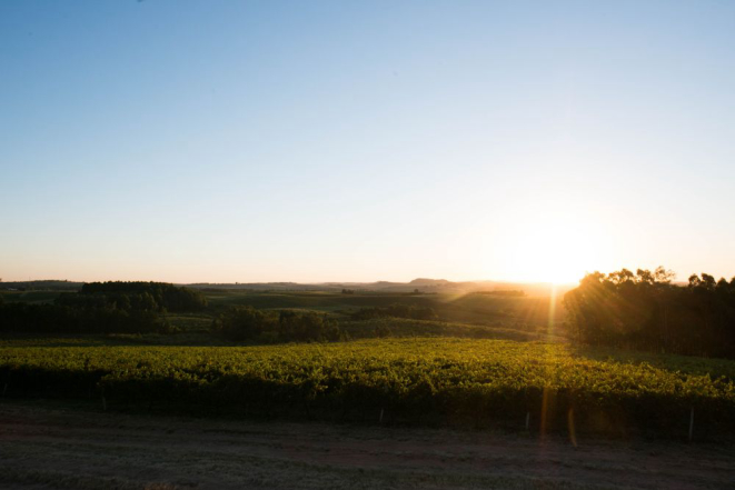 O pôr do sol na Campanha Gaúcha. Foto: Julio Soares/divulgação.