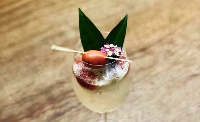 Um dos preparos é a gin tônica com ora-pro-nobis, planta muito usada como cerca viva. Foto: divulgação.