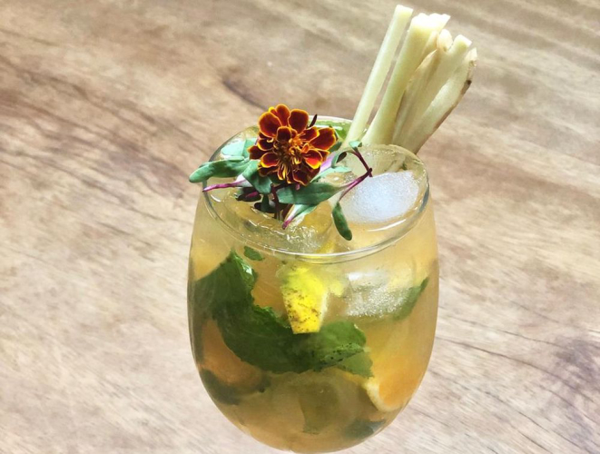 A caipirinha de tangerina com hortelã, gengibre, broto de beterraba e flor de panc. Foto: divulgação.