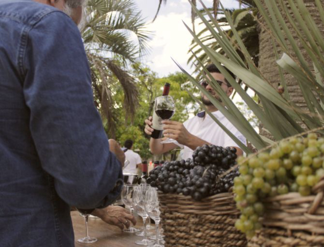 Alvarinho, Pinot Noir Rosé, Tannat, Merlot: durante um dia inteiro, você pode escolher qual vinho vai beber. Foto: Marina Mori / Gazeta do Povo