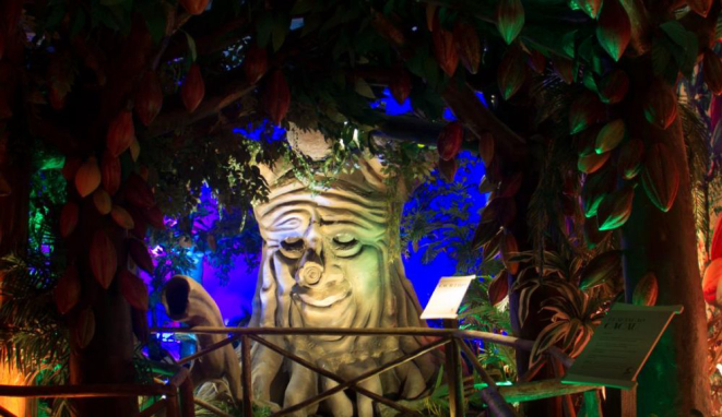 O cacaueiro ganha vida dentro do museu. Foto: reprodução Facebook.