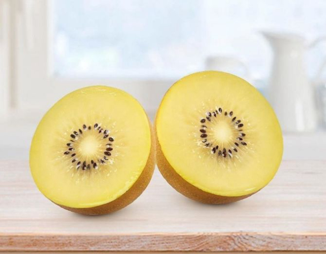 Foto: Reprodução Instagram / Zespi Brasil