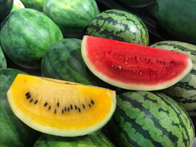 Foto: Reprodução Instagram / Federosiello