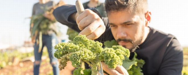 Chef Lênin Palhano seleciona ingredientes paranaenses para o primeiro Nomade Convida de 2019. Foto: Reprodução Instagram / Nomaa