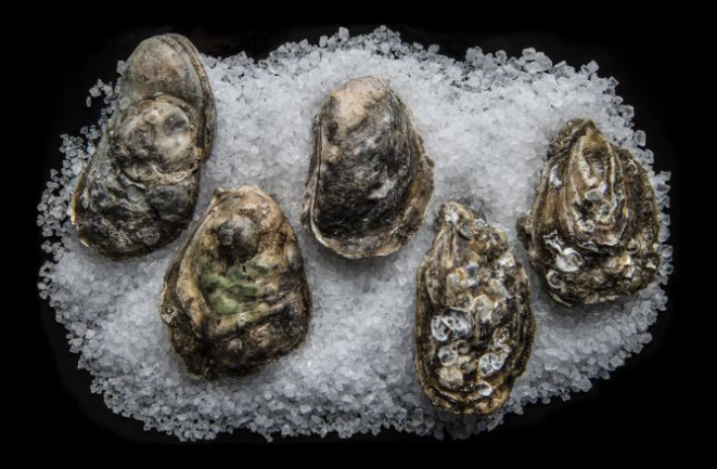 Foto: Letícia Akemi / Gazeta do Povo