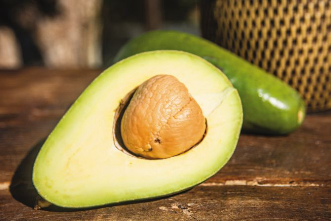 Foto: Nay Klym/Gazeta do Povo