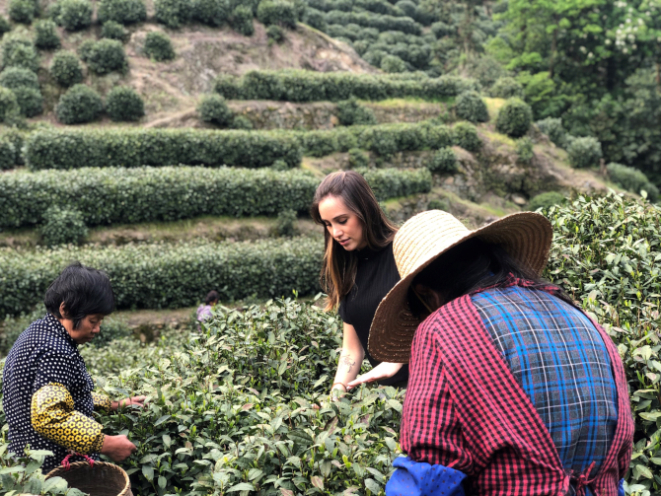 Sommelier de chás Ana Carolina Delai em busca de novidades sobre os chás. Foto: Ana Carolina Delai / Acervo