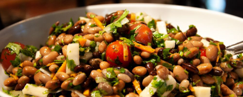 Feijão é o alimento mais importante da nossa cadeia alimentar