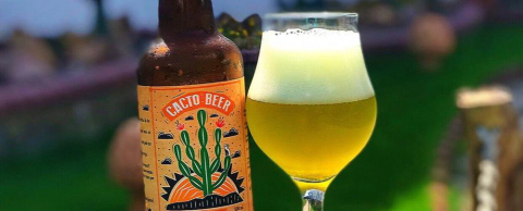 Cervejaria cria primeira cerveja feita com cacto do sertão nordestino